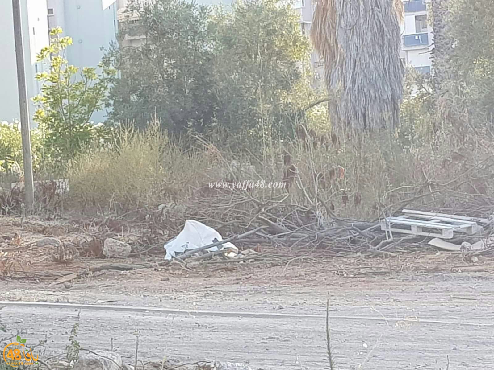 ramla maqbaraja (5).jpg